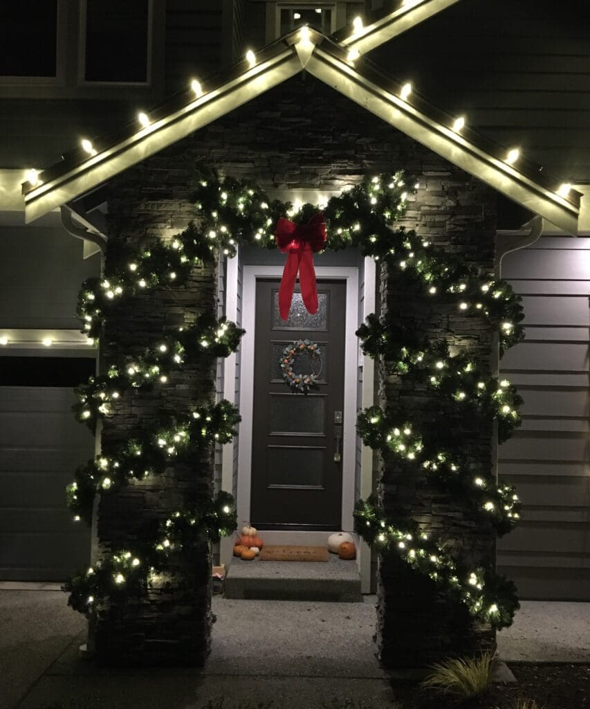 Holiday Lights Expertise​