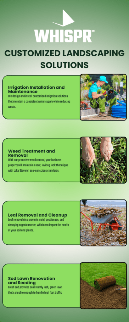 Customized Landscaping Solutions for Your Business Needs