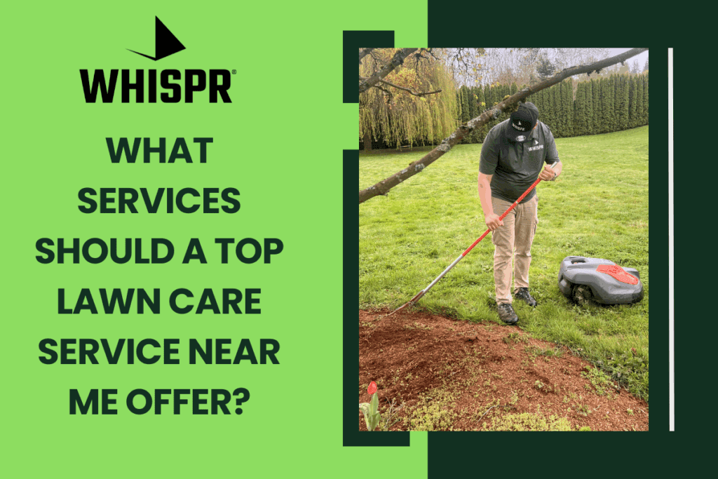 What Services Should a Top Lawn Care Service Near Me Offer?