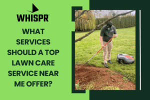 What Services Should a Top Lawn Care Service Near Me Offer?