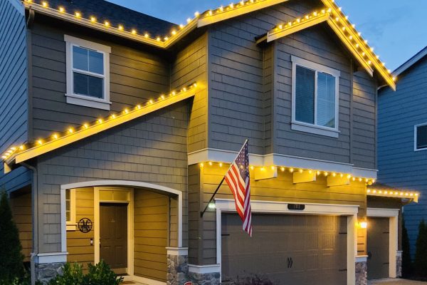 Stunning Holiday Lights Display