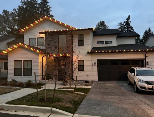 Lights all over the house