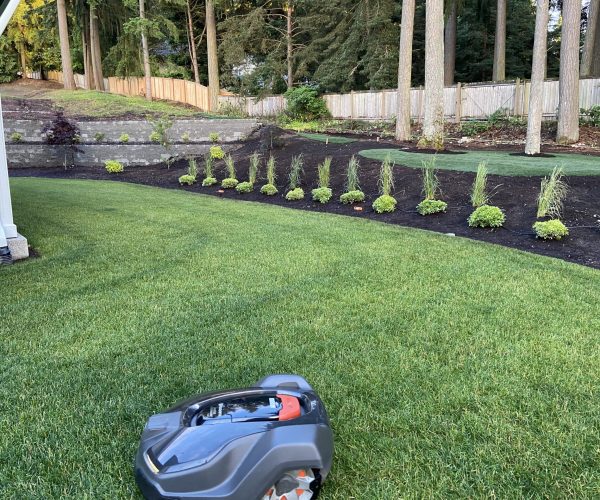 Robotic Mowing in Rigby